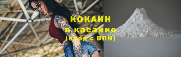 прущие грибы Балабаново