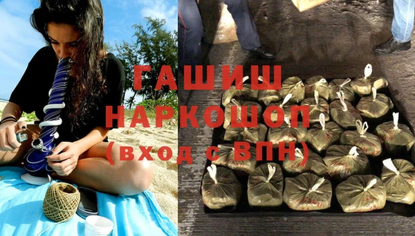 прущие грибы Балабаново