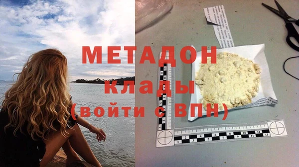 прущие грибы Балабаново