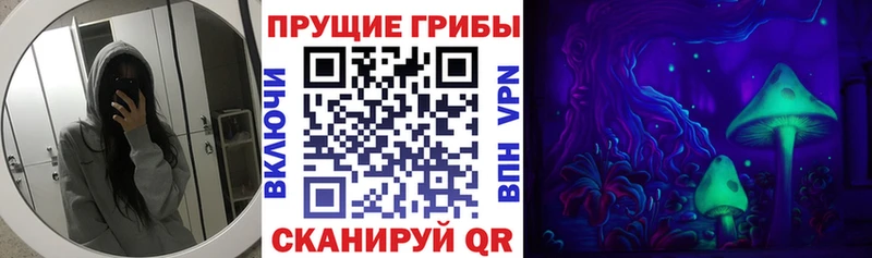 Псилоцибиновые грибы мухоморы продажа наркотиков Верея